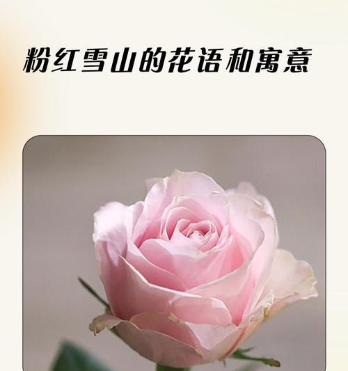 花戎象征什么？它的现代含义是什么？