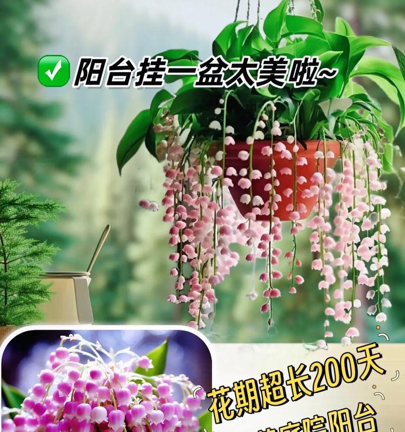 识别花卉香味的含义是什么？花卉香味在文化中有哪些象征？