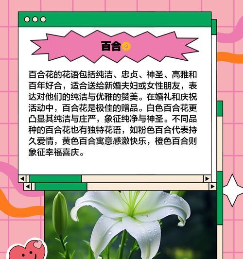 用花表达爱情的含义是什么？花语中如何表达爱意？