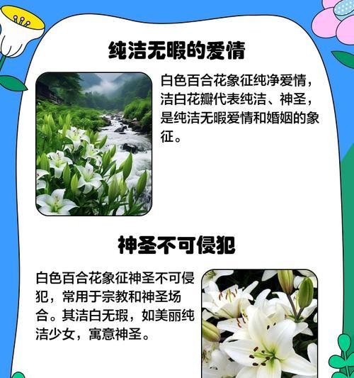 白香皂花有何含义？白香皂花代表了什么？