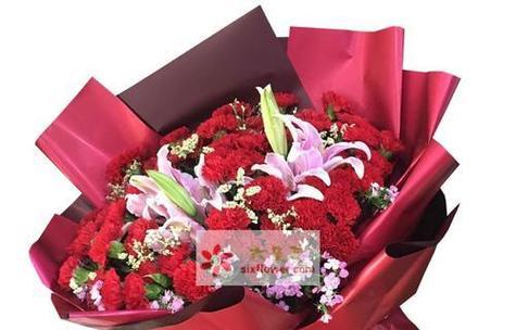 红花花语代表什么？红色花朵的象征与文化意义有何不同？