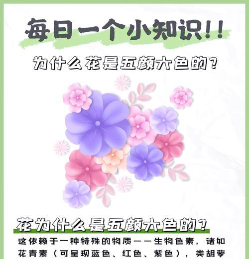 普通花朵隐藏的特殊含义是什么？