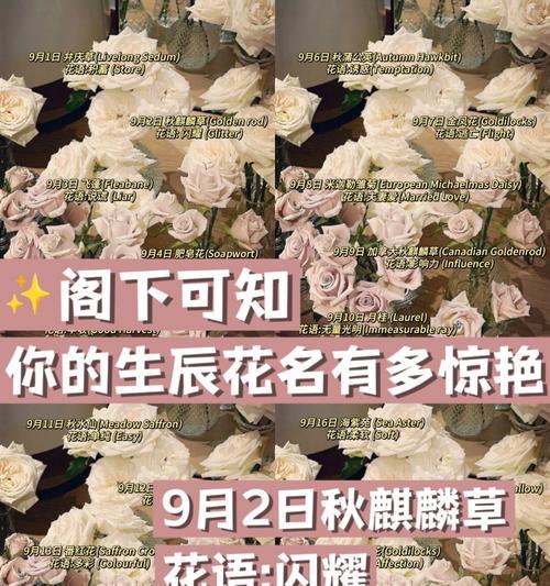 通过花来寻缘的方法是什么？寻缘花语的真正含义是什么？