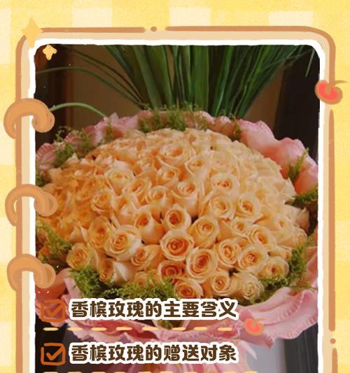 玫瑰花的含义是什么？玫瑰代表什么？