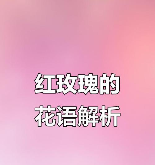 红玫瑰的花语含义是什么？它真的代表爱情吗？