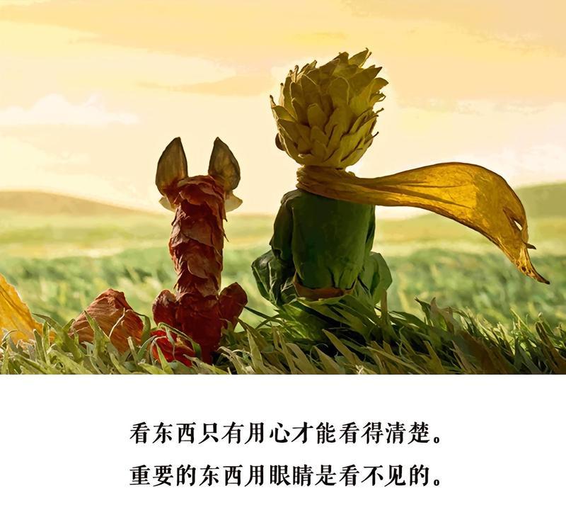 小王子中花卉的寓意是什么？它们代表了什么？