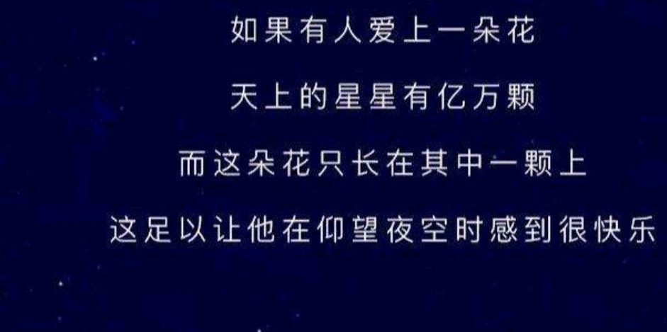 小王子中花卉的寓意是什么？它们代表了什么？