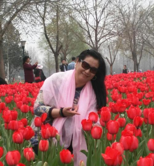 红色金刚花在花卉文化中扮演什么角色？