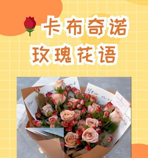 粉色玫瑰代表什么？粉色玫瑰的花语和寓意是什么？