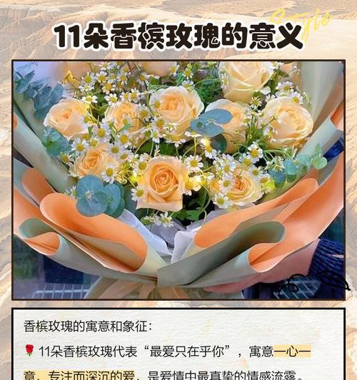 11朵粉玫瑰的花语含义是什么？浪漫寓意有哪些？