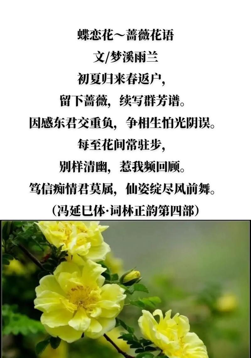 哪两种花具有相反的含义？探索花语中对立的象征。