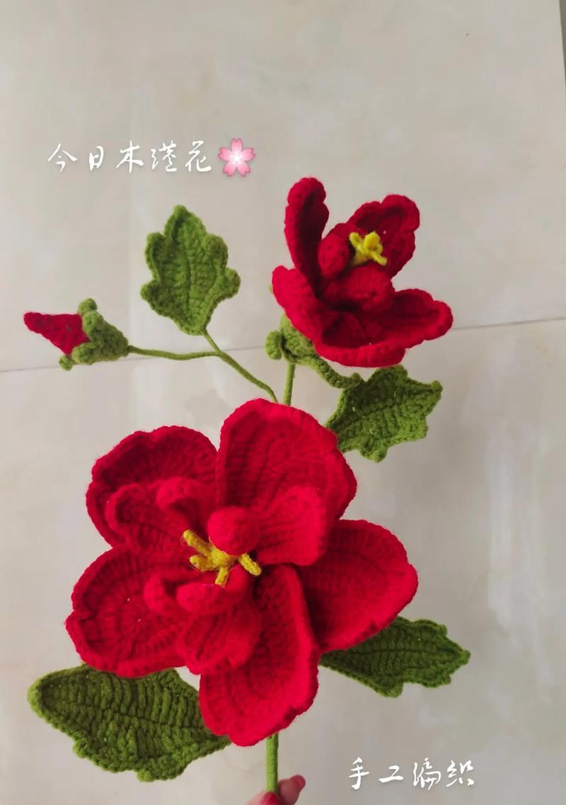 哪两种花具有相反的含义？探索花语中对立的象征。