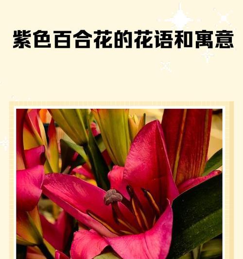 哪些花象征着“很菜”？它们的花语是什么？