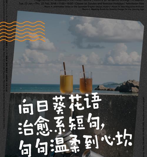 向阳花的花语和含义是什么？