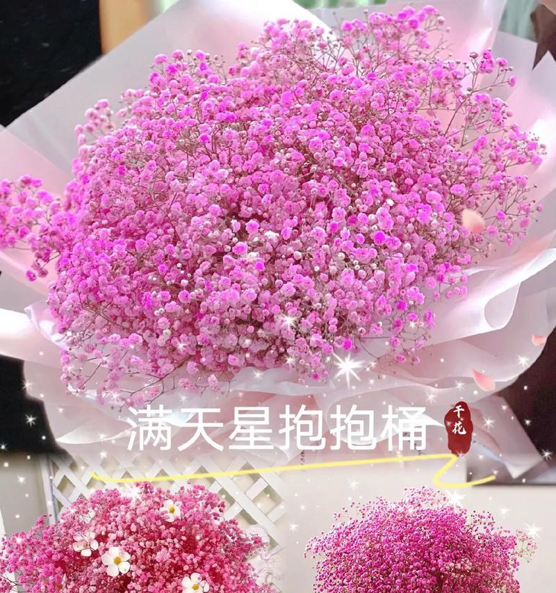 满天星象征着什么？满天星的花语有哪些？