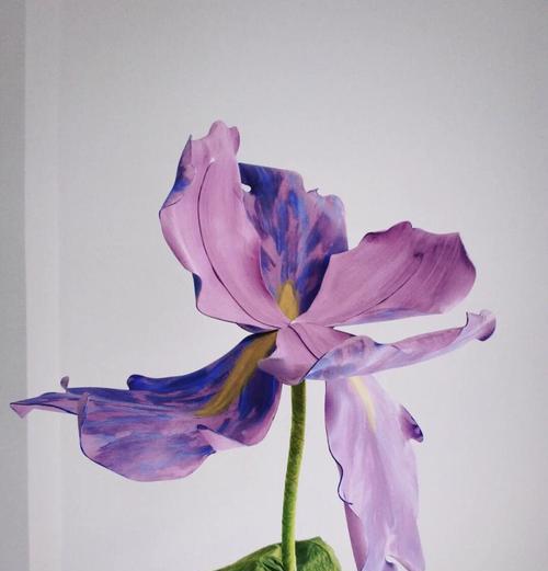 情感表达中花恋的具体含义是什么？