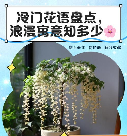 送花时哪些句子寓意深刻？它们的含义是什么？