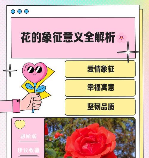 炙热象征的花有哪些及其代表的情感是什么？