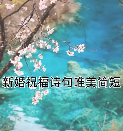 哪种花卉象征美好的姻缘？如何用花祝福新人？