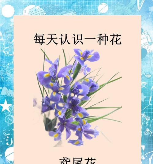 和平热爱的花朵象征是什么？