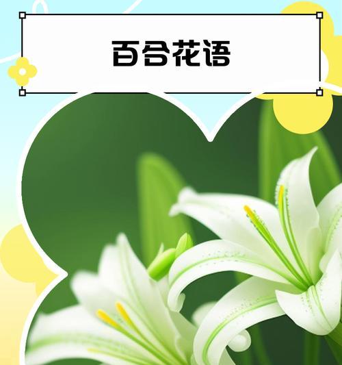 百合的特别象征意义是什么？它的花语含义是什么？