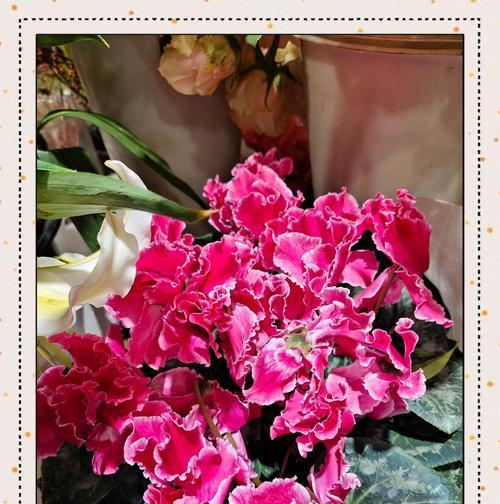 送给老师的寓意花有哪些？它们代表什么意义？