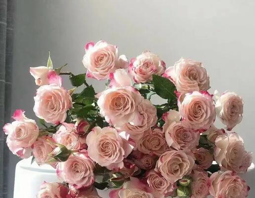 折射花在自然界中的特殊意义是什么？