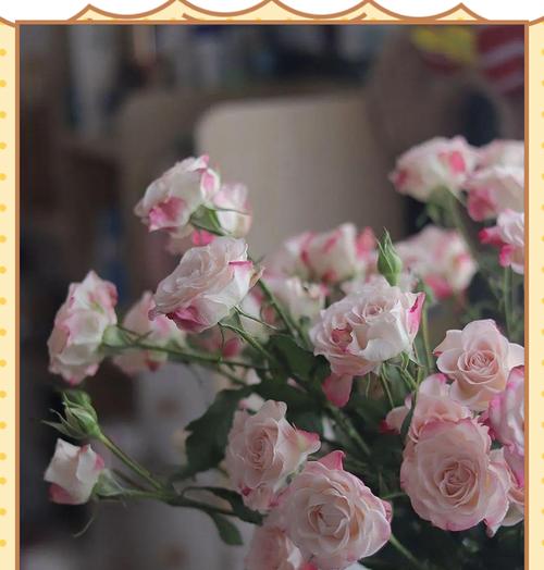 折射花在自然界中的特殊意义是什么？