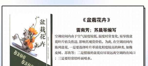 春节花卉深层含义是什么？