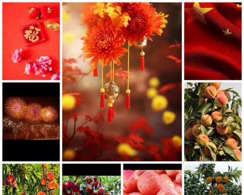 和平食物的花象征什么？它们各自代表了哪些意义？