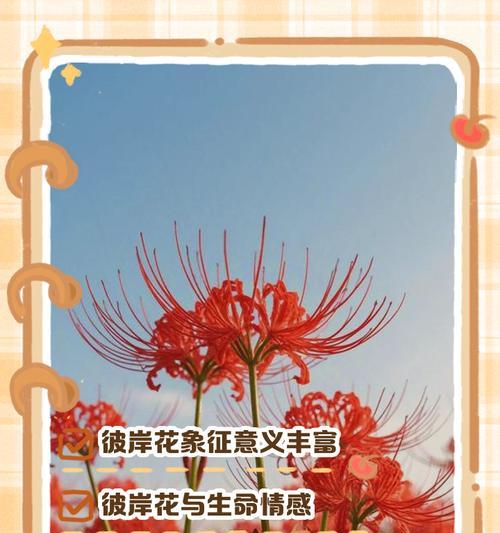 纹花的象征意义有哪些？