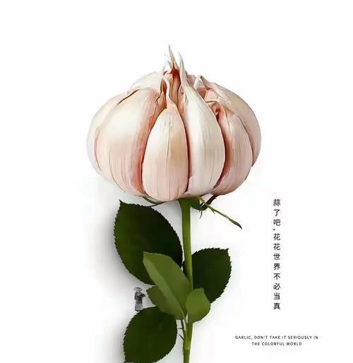 花的寓意是营销的手段有哪些？商家如何利用花的寓意进行营销？