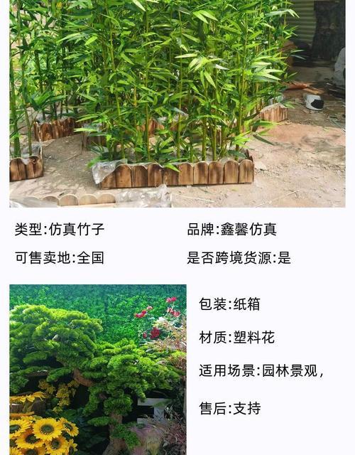 盘花竹子的寓意是什么？竹子在花艺中的象征意义是什么？