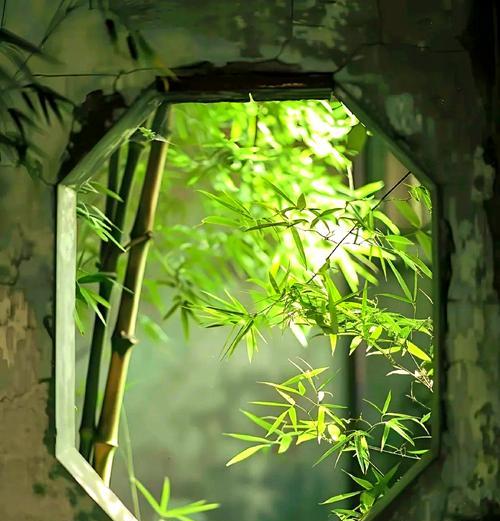 盘花竹子的寓意是什么？竹子在花艺中的象征意义是什么？