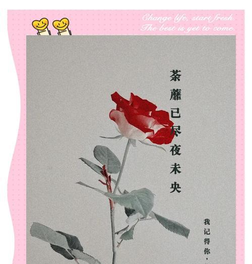 荼蘼花的寓意象征是什么？