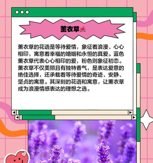 如何用花表达理想的爱意？哪些花象征理想的爱情？