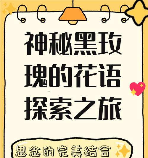 十一朵玫瑰代表什么含义和花语？