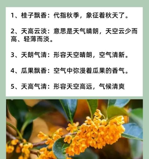 有哪些花的象征成语？它们各自代表什么含义？