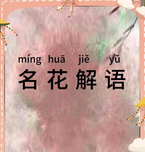 有哪些花的象征成语？它们各自代表什么含义？