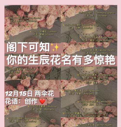 三朵玫瑰花的寓意与象征（探究玫瑰花送礼的深层含义）