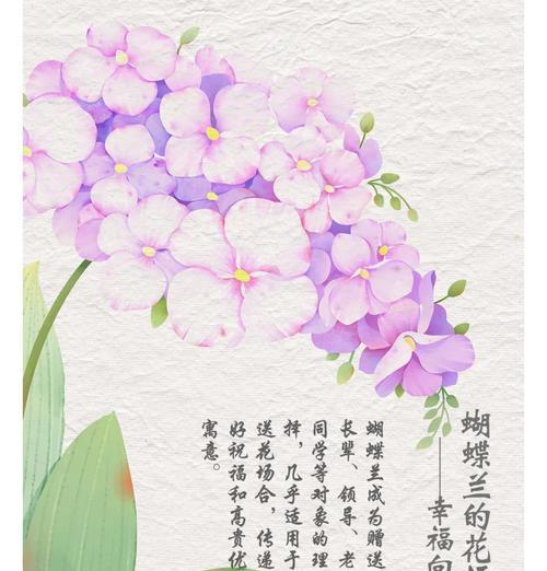 缤纷蝴蝶兰(美丽多彩的蝴蝶兰,它们的颜色有何寓意?)