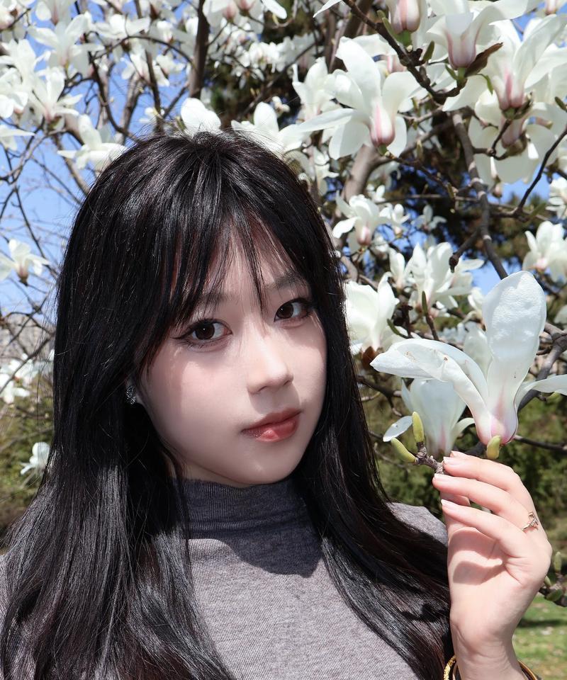 白玉兰花语的含义及象征力（传递着纯洁和高贵的情感）