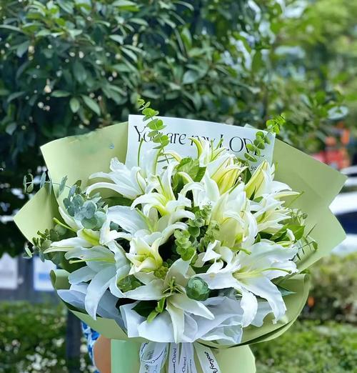 白色百合花语与寓意（纯洁与神秘的美丽）