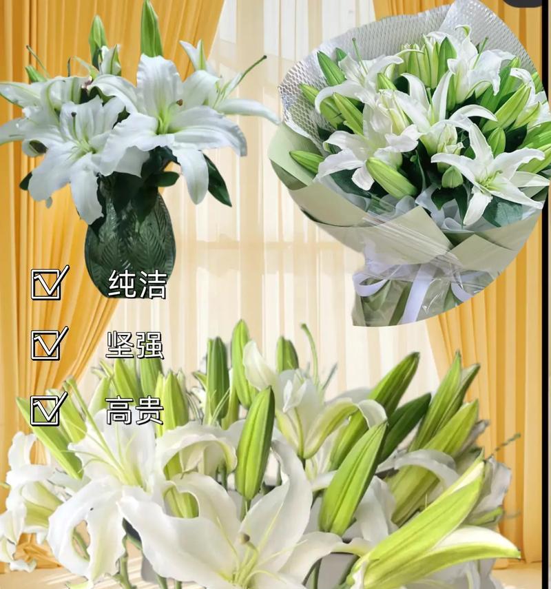 白色百合花语与寓意（纯洁与神秘的美丽）