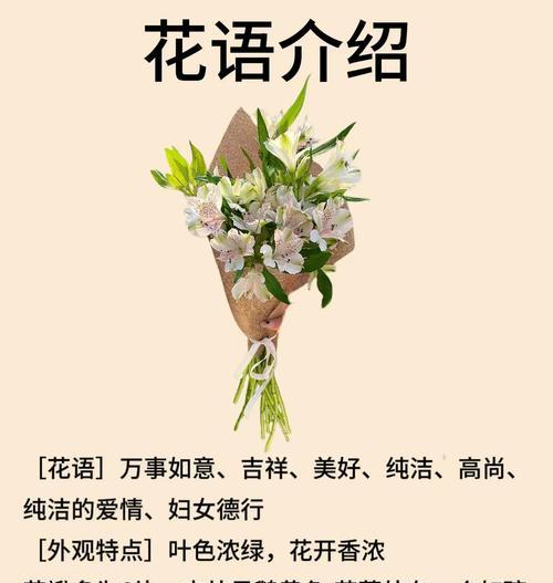 水仙花花语探秘（解读水仙花的美丽寓意与象征意义）