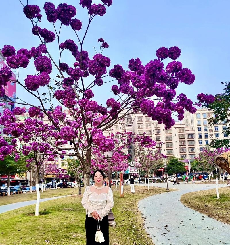 紫花风铃木花语（探寻紫花风铃木的花语意义及象征）