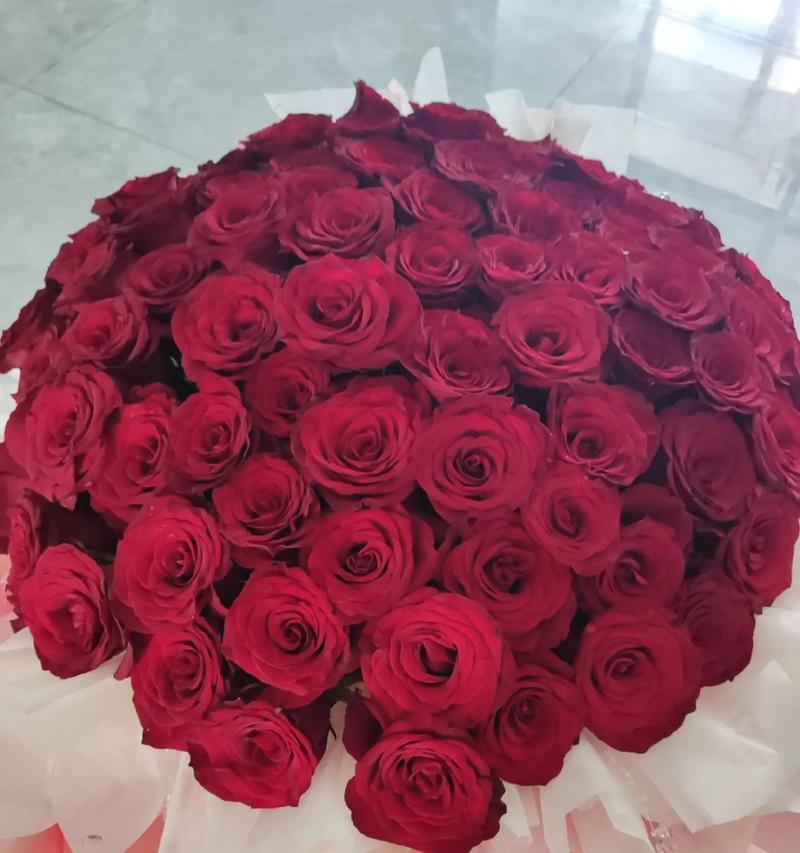 11朵玫瑰花的意义与象征（探索花语中的奥秘，了解11朵玫瑰的隐含情感）