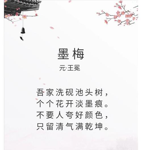 墨兰花语（用墨兰花的花语诠释生命的坚韧与美丽）