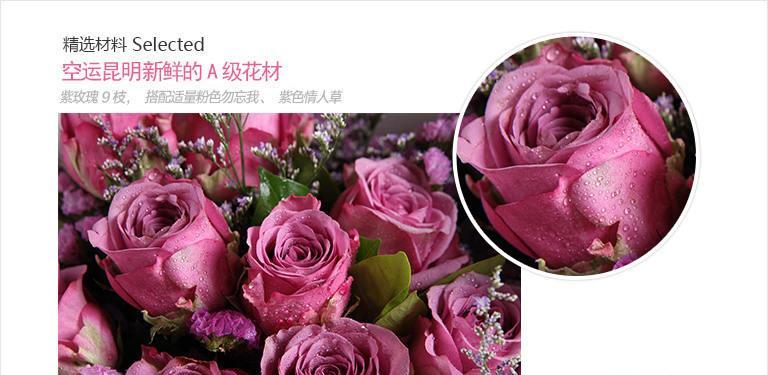 玫瑰花与情人草（寓意深远的鲜花，真挚的感情留痕）
