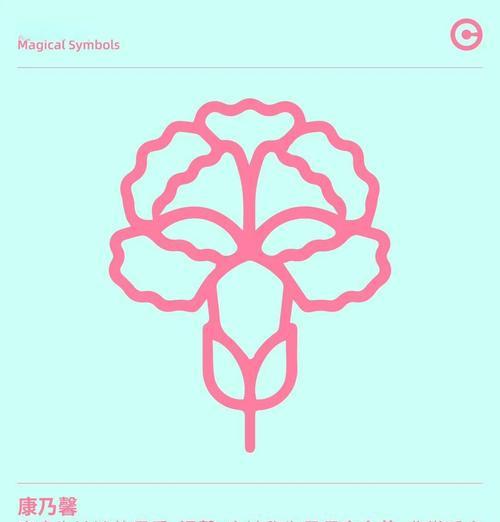 康乃馨（美丽的康乃馨花开，寓意深远）